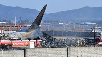 Avión siniestrado en el aeropuerto de Muan