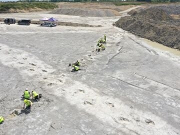 Descubren el mayor yacimiento de huellas de dinosaurio en una cantera de Reino Unido