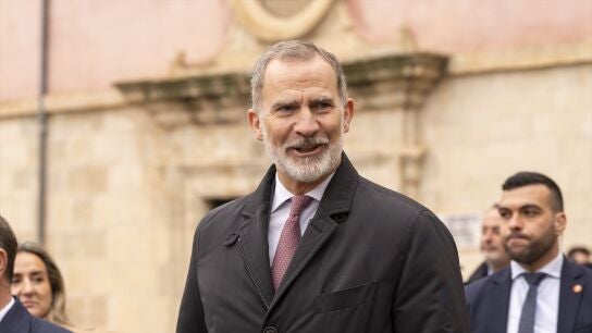 El Rey Felipe VI