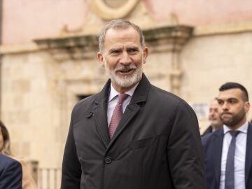 El Rey Felipe VI