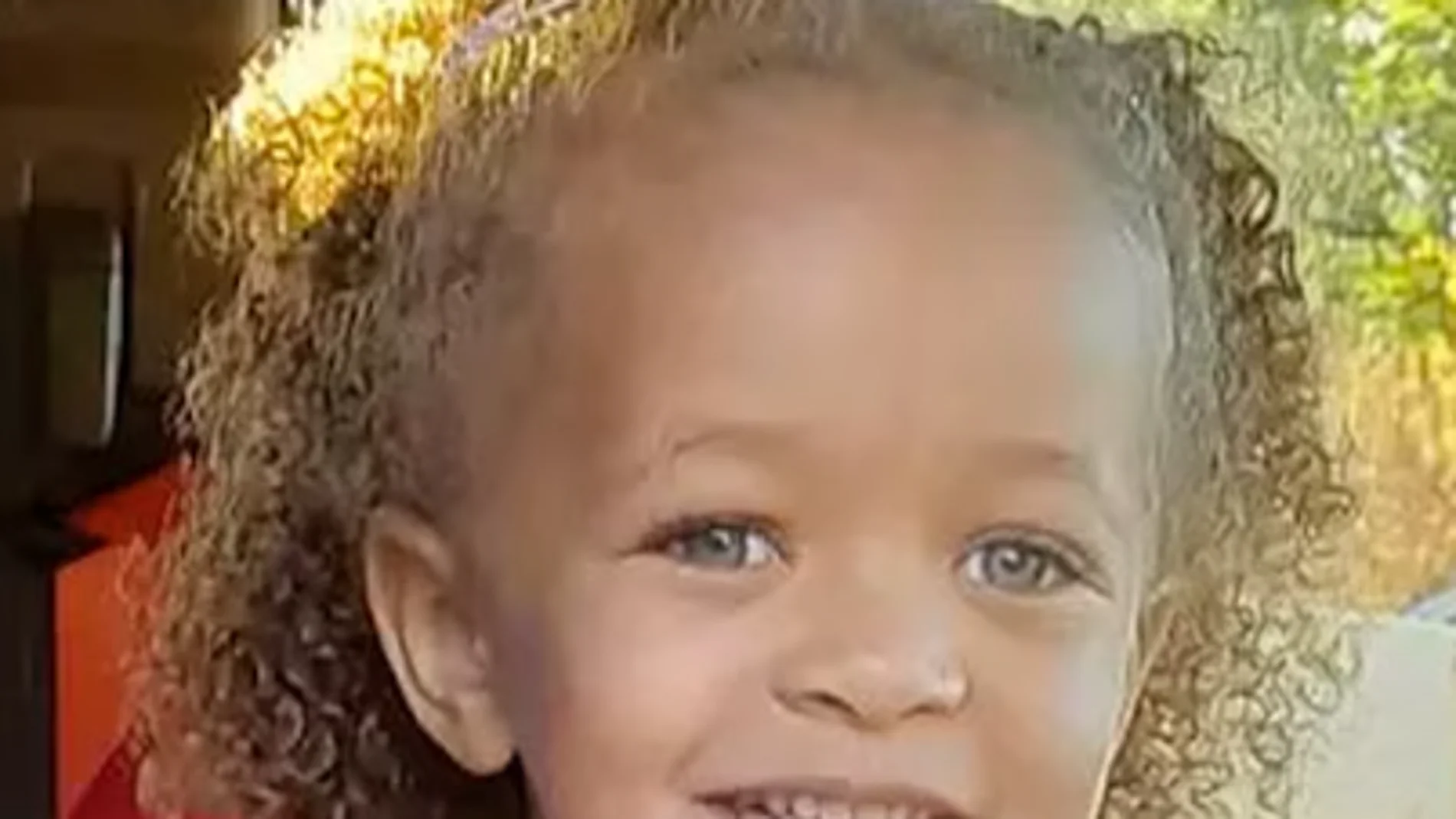 Tragedia en Navidad: una niña de tres años muere por el ataque de unos perros familiares Tragedia en Navidad: una niña de tres años muere por el ataque de unos perros familiares