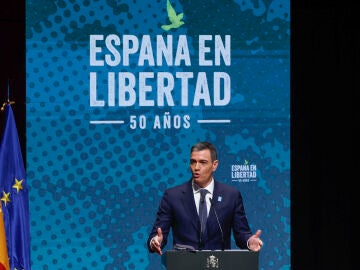 El presidente del Gobierno, Pedro Sánchez