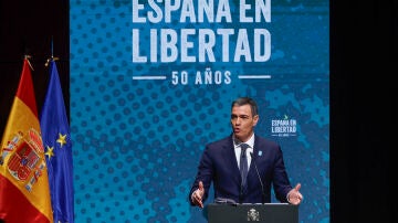 El presidente del Gobierno, Pedro Sánchez