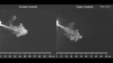 Crean un simulador de estornudos que permite entender cómo se propagan las enfermedades respiratorias