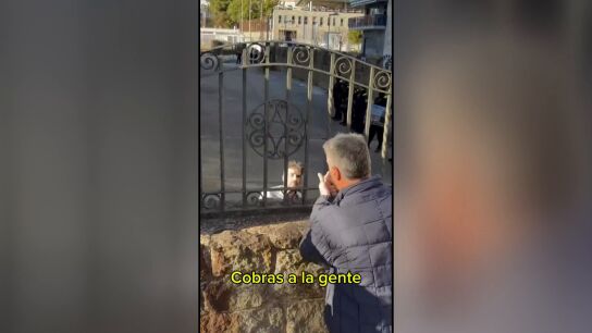 Imagen de Xavier Garc&iacute;a Albiol en la desocupaci&oacute;n de un instituto en Badalona.