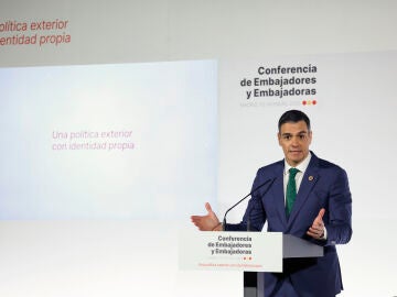 Pedro Sánchez