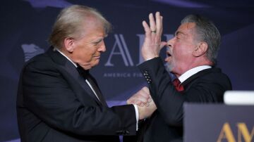 Trump nombra a Sylvester Stallone, Mel Gibson y Jon Voight "embajadores de Hollywood"