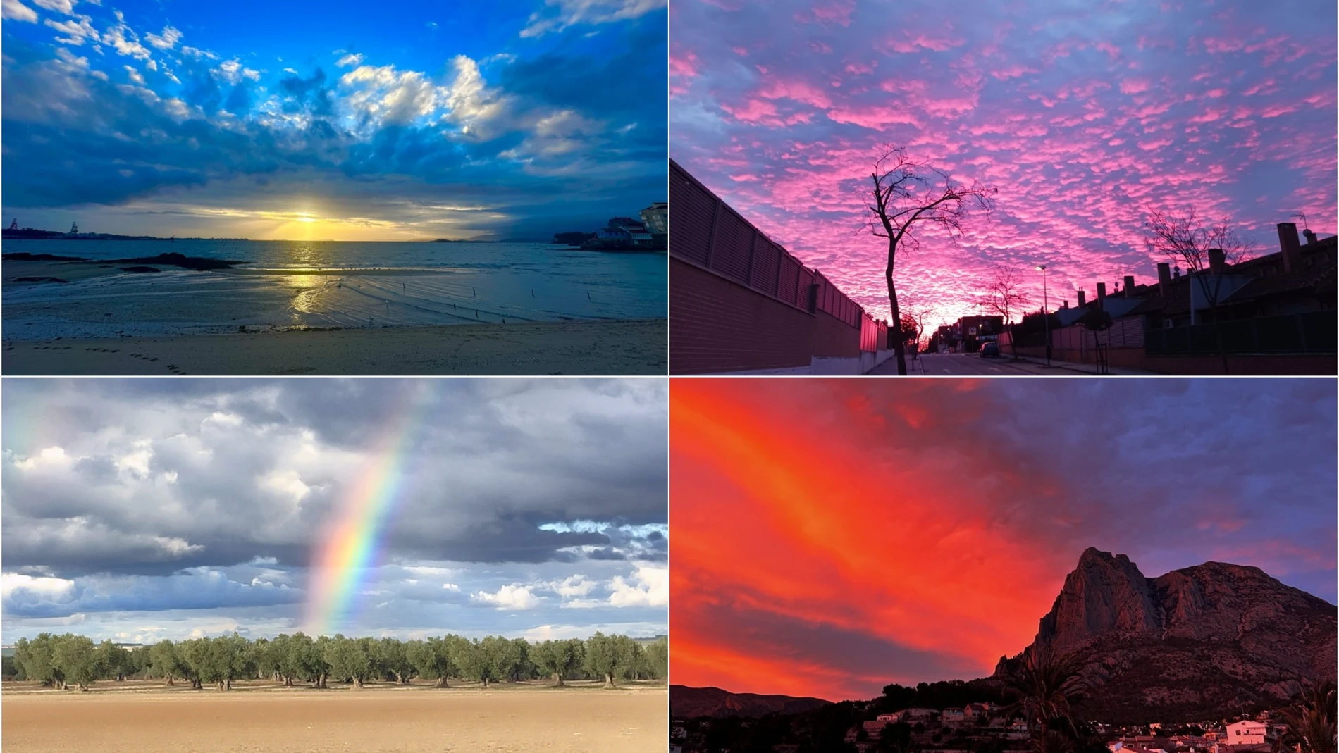 Vota la mejor foto de los espectadores del mes de enero Vota la mejor foto de los espectadores del mes de enero