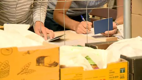 Solicitudes del Ingreso Mínimo Vital Solicitudes del Ingreso Mínimo Vital