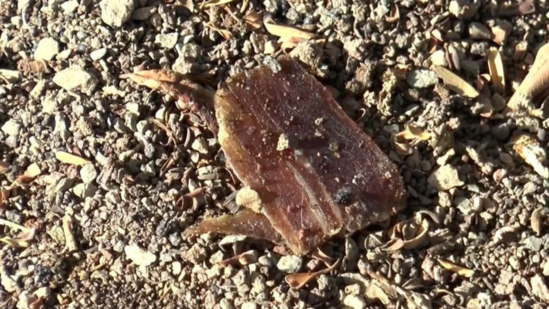 Embutido impregnado de sustancias tóxicas Embutido impregnado de sustancias tóxicas