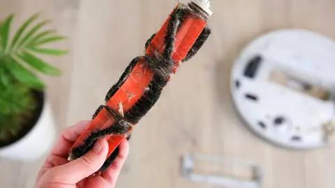 Cepillo de la aspiradora sucio Cepillo de la aspiradora sucio