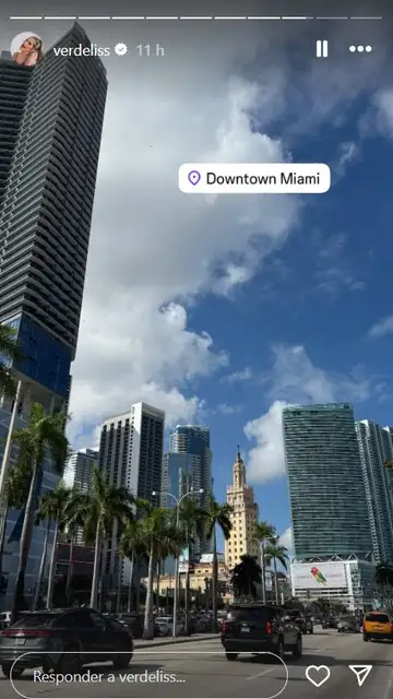 Verdeliss en Downtown Miami Verdeliss en Downtown Miami