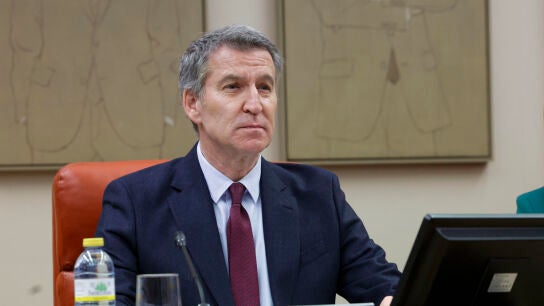 El l&iacute;der del PP, Alberto N&uacute;&ntilde;ez Feij&oacute;o