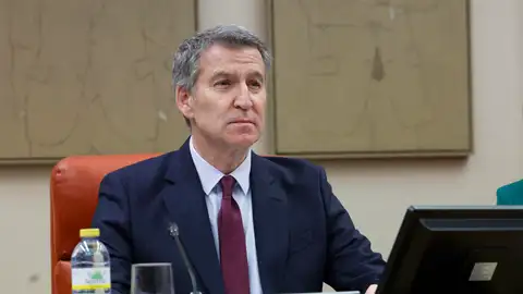 El líder del PP, Alberto Núñez Feijóo El líder del PP, Alberto Núñez Feijóo