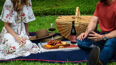 Pareja de pícnic Pareja de pícnic