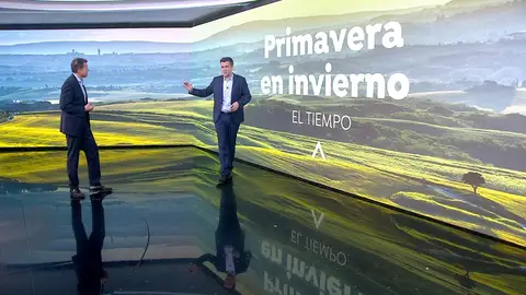 César Gonzalo César Gonzalo