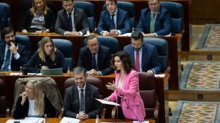 Isabel D&iacute;az Ayuso durante un pleno en la Asamblea de Madrid. 