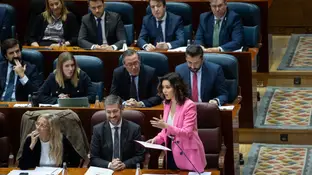 Isabel Díaz Ayuso durante un pleno en la Asamblea de Madrid. Isabel Díaz Ayuso durante un pleno en la Asamblea de Madrid.