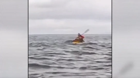 Casi le engulle una ballena Casi le engulle una ballena