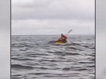 Casi le engulle una ballena