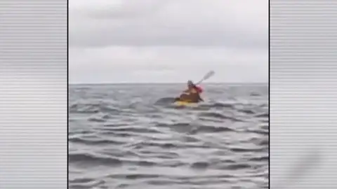 Casi le engulle una ballena Casi le engulle una ballena