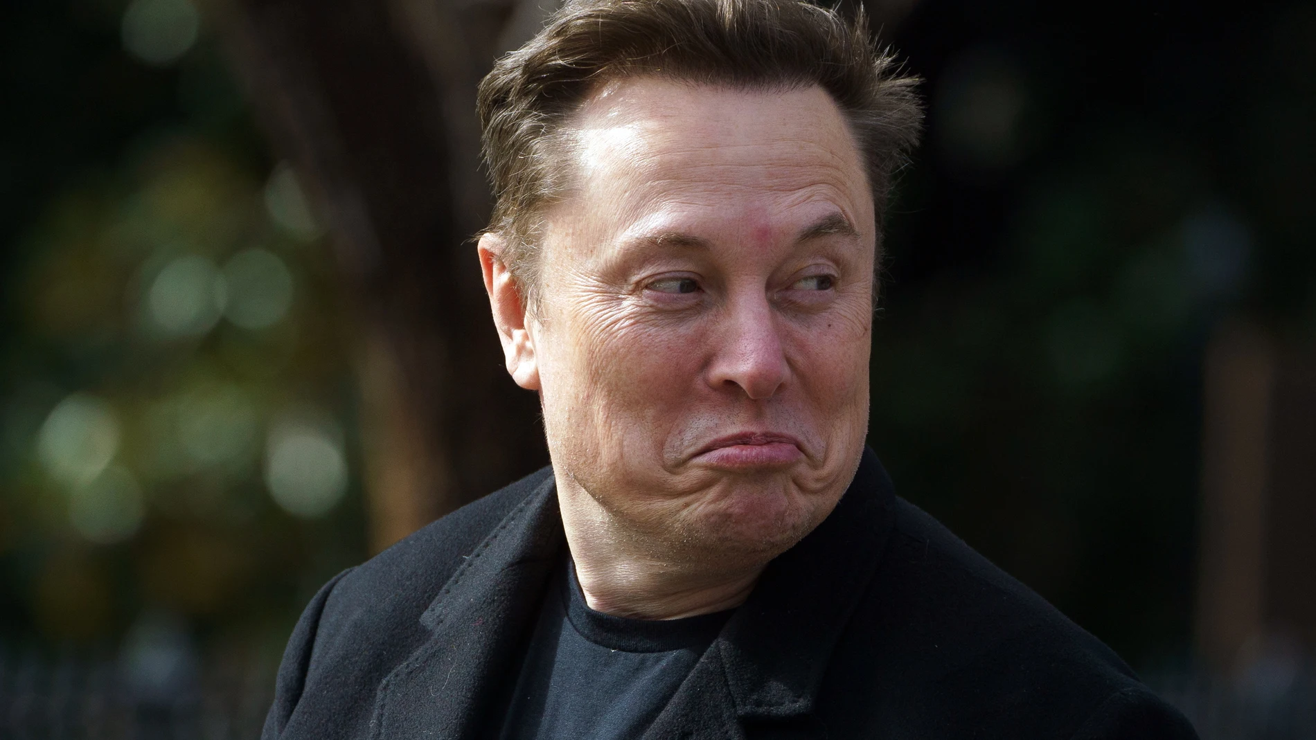 Una influencer afirma haber tenido un hijo con Elon Musk Una influencer afirma haber tenido un hijo con Elon Musk