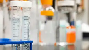 Descubren los motivos que hacen que el cáncer se propague Descubren los motivos que hacen que el cáncer se propague