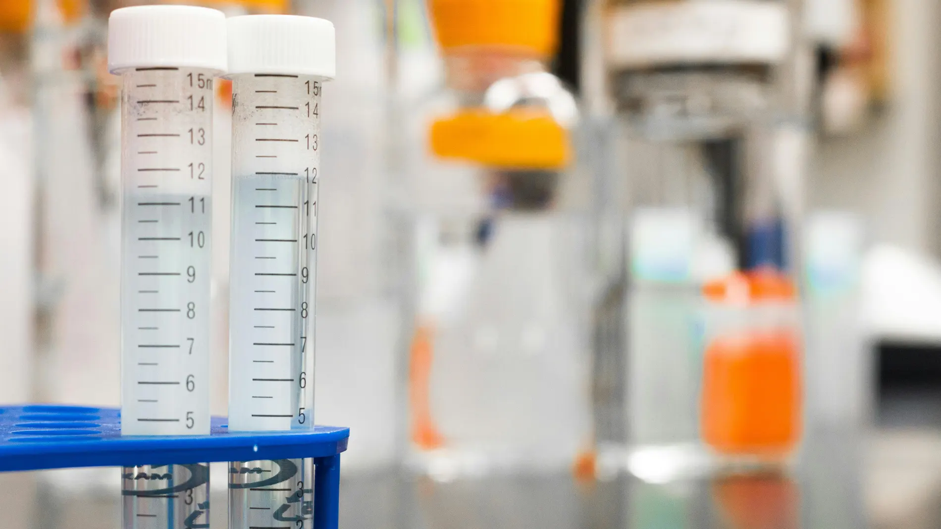 Descubren los motivos que hacen que el cáncer se propague Descubren los motivos que hacen que el cáncer se propague