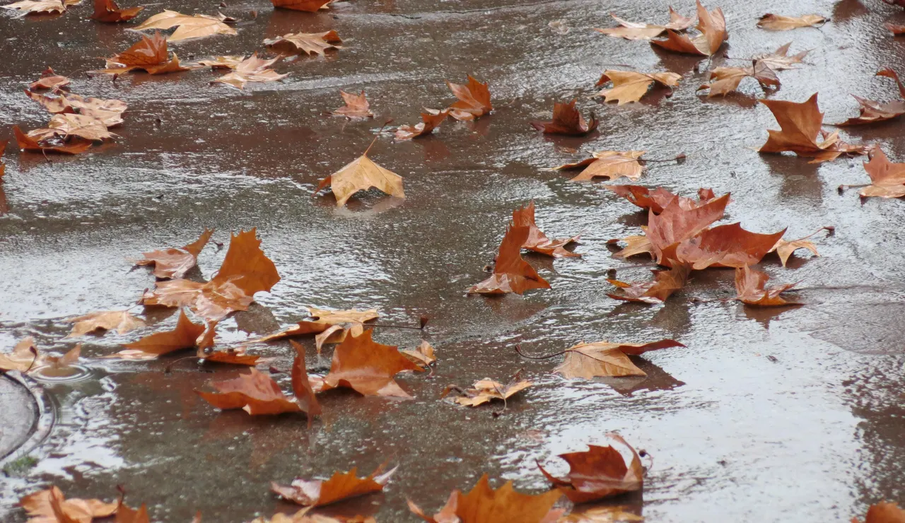 Otoño