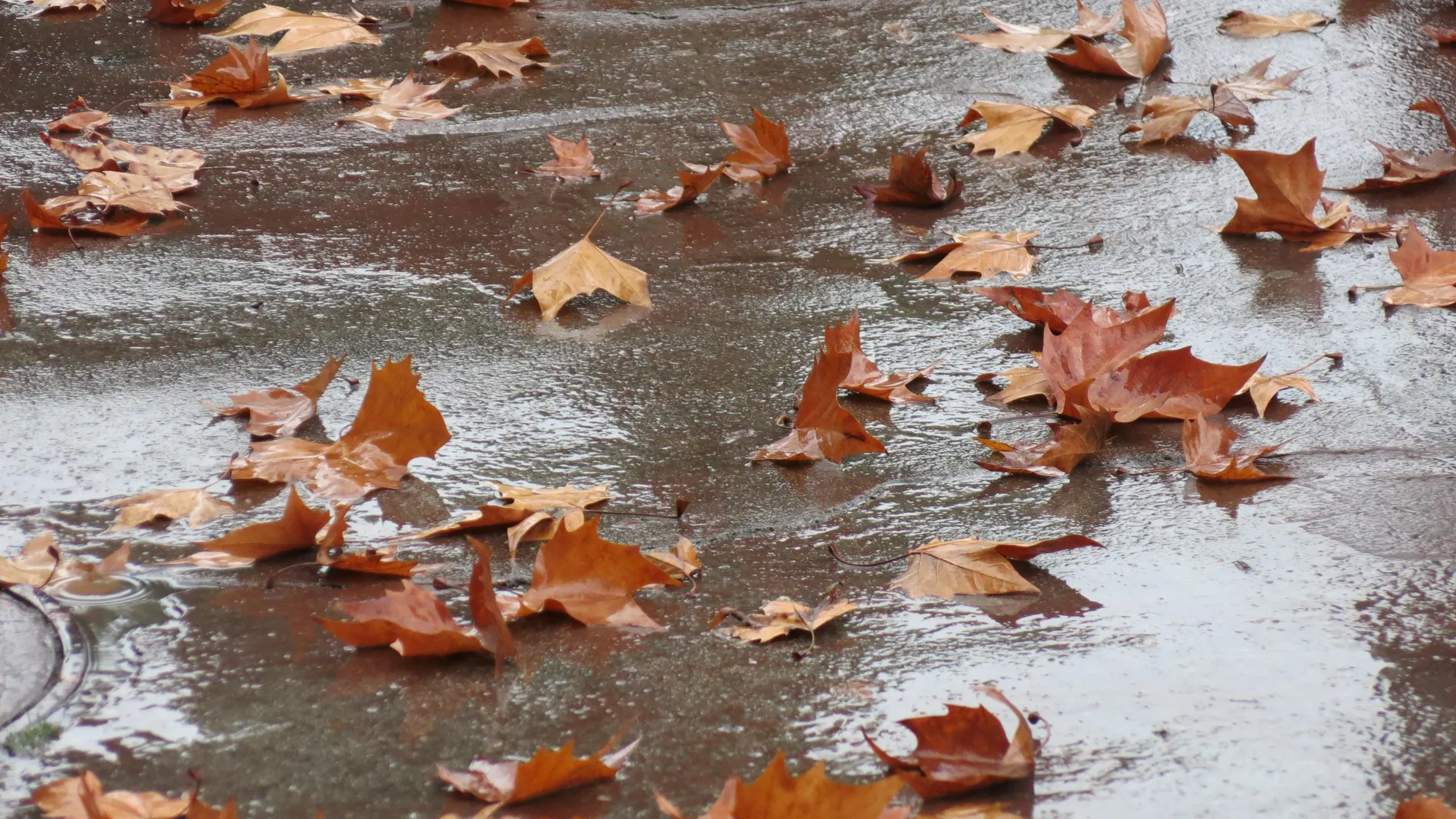 Otoño Otoño