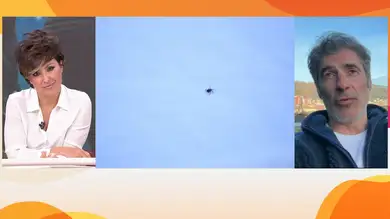 Jorge Fernández sobre la enfermedad de Lyme: Jorge Fernández sobre la enfermedad de Lyme: