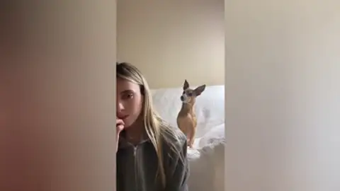 La respuesta de una perrita a la conversación simulada de su dueña se vuelve viral La respuesta de una perrita a la conversación simulada de su dueña se vuelve viral