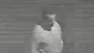 El pir&oacute;mano en busca y captura