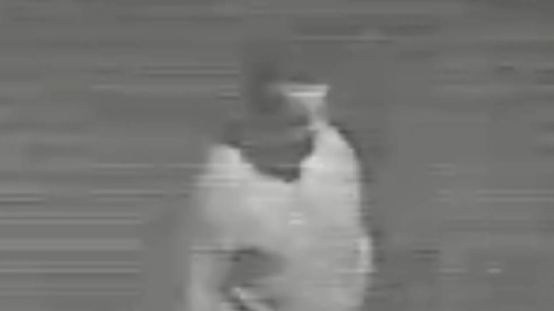 El pirómano en busca y captura El pirómano en busca y captura