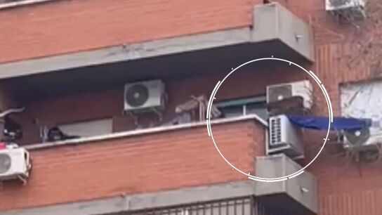 La cabra en el balc&oacute;n