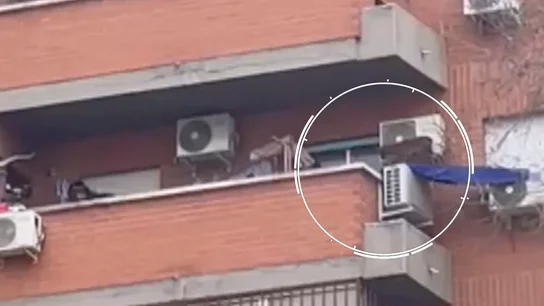 La cabra en el balcón La cabra en el balcón