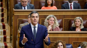 El presidente del Gobierno, Pedro Sánchez