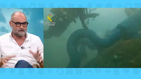 Raúl García, en Espejo Público. Raúl García, en Espejo Público.