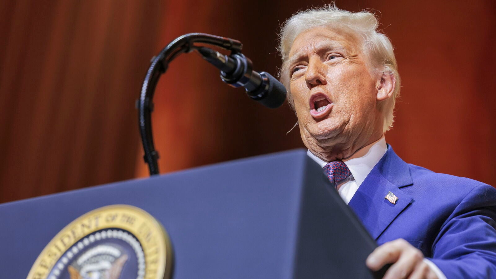 Trump no ve necesario incluir a Zelenski en las negociaciones con Rusia: 