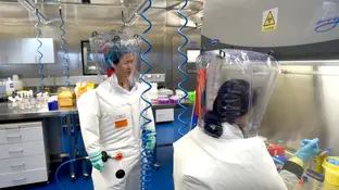 Descubren un nuevo coronavirus con mayor capacidad de contagio y riesgo en humanos que el COVID-19 Descubren un nuevo coronavirus con mayor capacidad de contagio y riesgo en humanos que el COVID-19