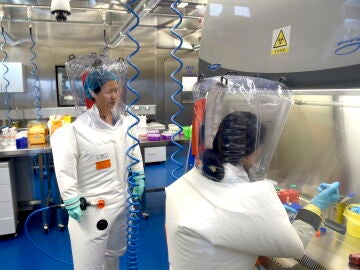 Descubren un nuevo coronavirus con mayor capacidad de contagio y riesgo en humanos que el COVID-19 