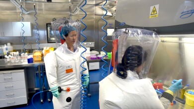 China descubre un nuevo coronavirus en murciélagos que podría infectar a humanos