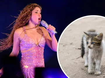 Relacionan a Shakira con la muerte de 100 gatos Relacionan a Shakira con la muerte de 100 gatos