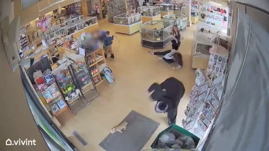 Robo perros Robo perros