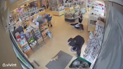 Robo perros Robo perros