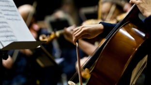 Concierto de m&uacute;sica cl&aacute;sica 