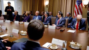 Elon Musk, durante la primera reuni&oacute;n del Gabinete de Donald Trump