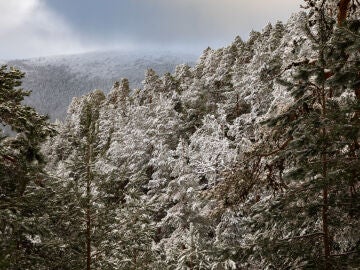 Imagen de archivo del Puerto de Navacerrada, Madrid. 