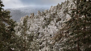 Imagen de archivo del Puerto de Navacerrada, Madrid. 