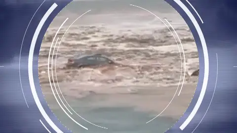 Coche Telde Coche Telde